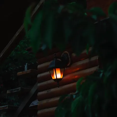 Daire Fruskogorski Mir *