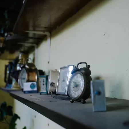 Fruskogorski Mir Besenovacki Prnjavor