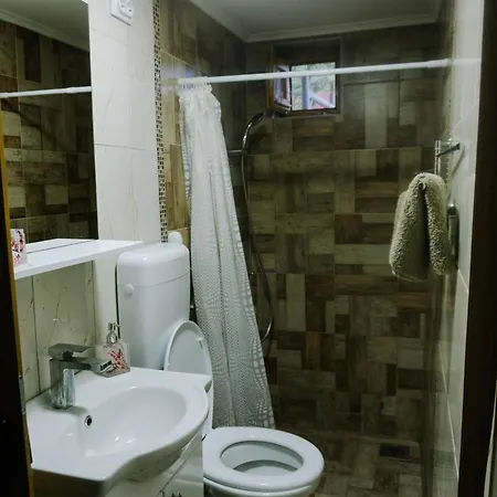 Apartment Fruskogorski Mir *
