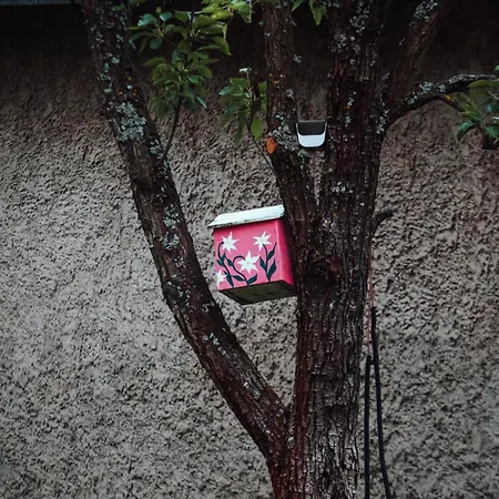 Fruskogorski Mir Besenovacki Prnjavor