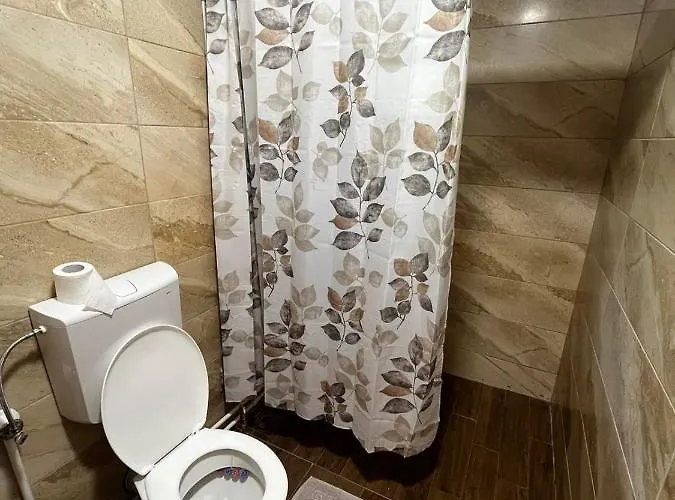 Fruskogorski Mir Daire Besenovacki Prnjavor