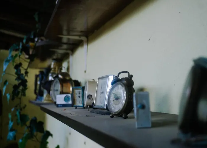 Fruskogorski Mir Besenovacki Prnjavor