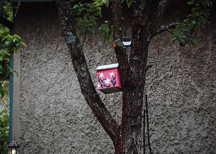 Fruskogorski Mir Besenovacki Prnjavor